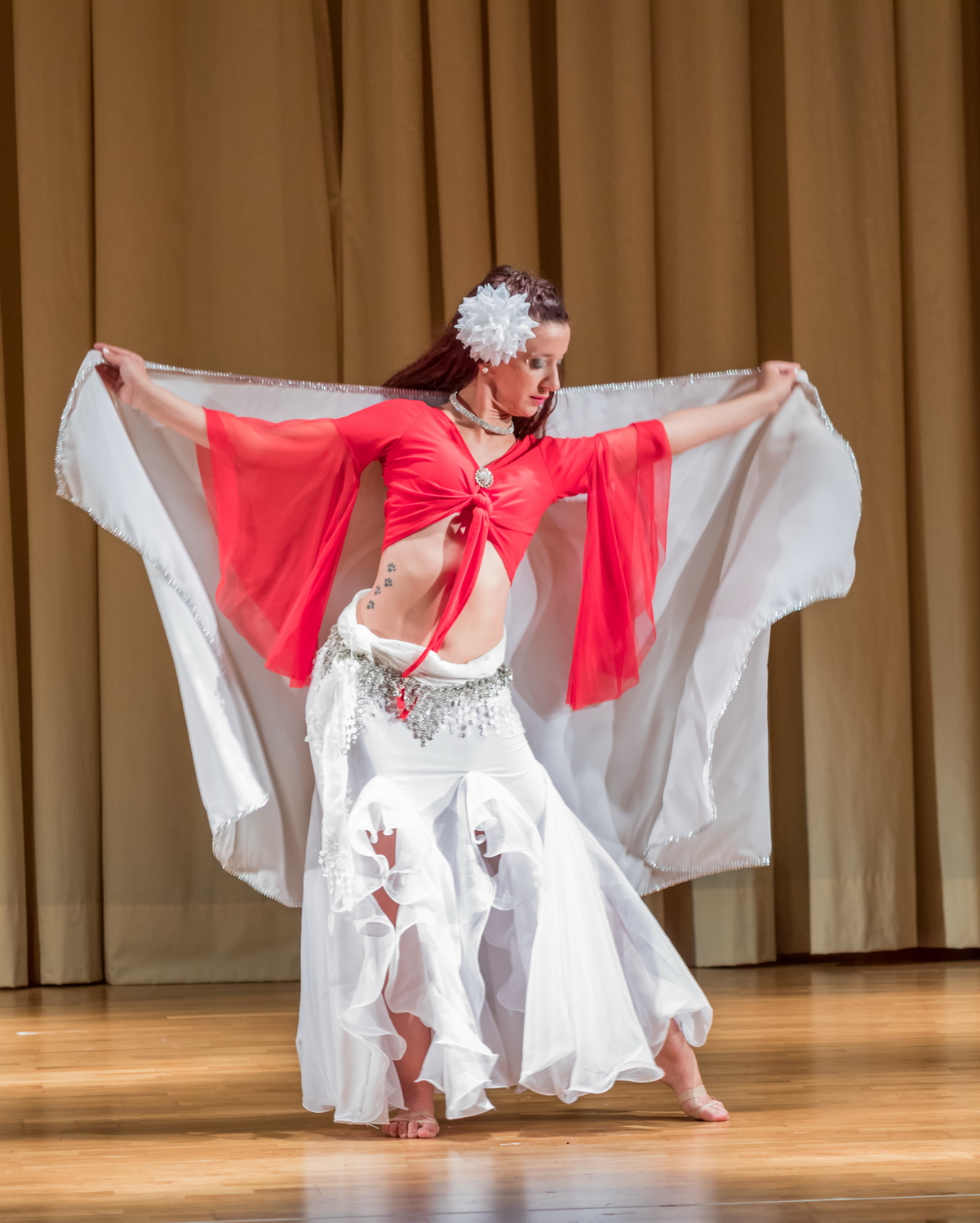 Danza del Vientre